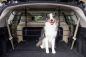 Preview: PetSafe® Happy Ride™ Hundeschutzgitter aus Metall